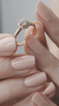 Ada Ring 18K Yellow Gold -Lustre Jewelry Shop ADA RING 18K YELLOW GOLD 66332 e8c7ff05 c44b 44db 88a4 753acab42562