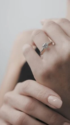 Augusta Ring 18K White Gold -Lustre Jewelry Shop AUGUSTA RING 18K WHITE GOLD 8883399922