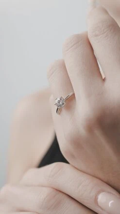 Augusta Ring 18K White Gold -Lustre Jewelry Shop AUGUSTA RING 18K WHITE GOLD 955353