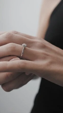 Ada Ring 18K White Gold -Lustre Jewelry Shop Ashley Ring 18K White Gold 4433222 c947ea09 f758 43ef 8bae 47be2e5e20a0