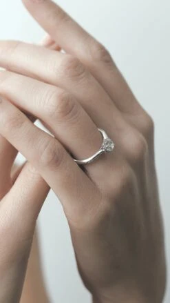 Ada Ring 18K White Gold -Lustre Jewelry Shop Ashley Ring 18K White Gold 737002 709ccc8d a6e5 4b33 8bbf d9aae7c6d72b