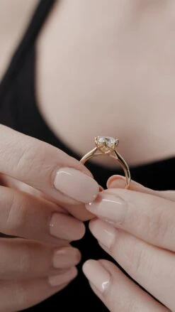 Augusta Ring 18K Yellow Gold -Lustre Jewelry Shop Augusta Ring 18K Yellow Gold 338822