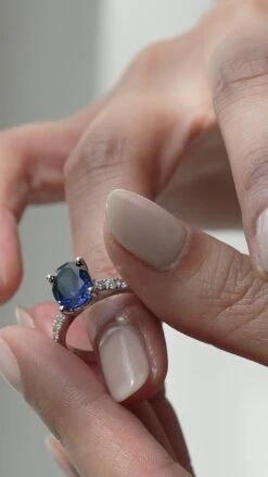 Cordelia Ring 18K White Gold Sapphire -Lustre Jewelry Shop Cordelia Ring 18K White Gold Sapphire jdjd777s