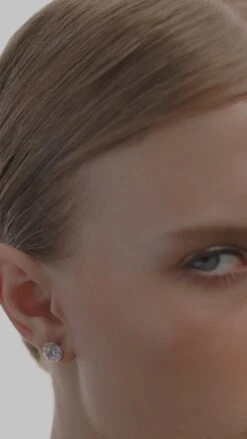 Fawn Martini Studs 9K White Gold -Lustre Jewelry Shop Fawn 3 Prong Martini Studs White Gold js8sa