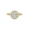 Leah Ring 18K Yellow Gold