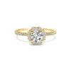 Isolde Ring 18K Yellow Gold -Lustre Jewelry Shop IsoldeRingYG Front