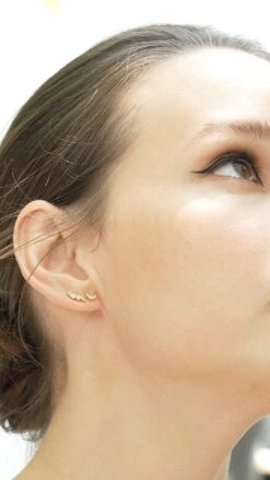 Lightning Stud 18K Gold Vermeil 20 Lightning Stud 18K Gold Vermeil -Lustre Jewelry Shop MOON LIGHTNING STUDS 878378373