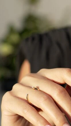 Mia Ring 9K Yellow Gold -Lustre Jewelry Shop Mia Ring Yellow Gold 3322441