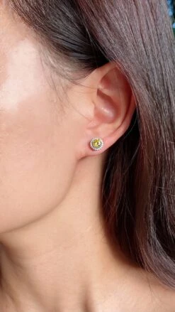 Gwyn Round Borderset Studs Yellow White Gold Plated 9 Gwyn Round Borderset Studs Yellow White Gold Plated -Lustre Jewelry Shop UntiqqqtDdflssSxzSZXSAed 1