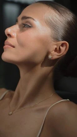 Vega Studs 18K Gold Vermeil -Lustre Jewelry Shop Vega Studs Gold Vermeil JSK87SS