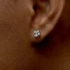 Zara Princess Martini Studs White Gold -Lustre Jewelry Shop Zara Princess Martini Studs White Gold IID8D